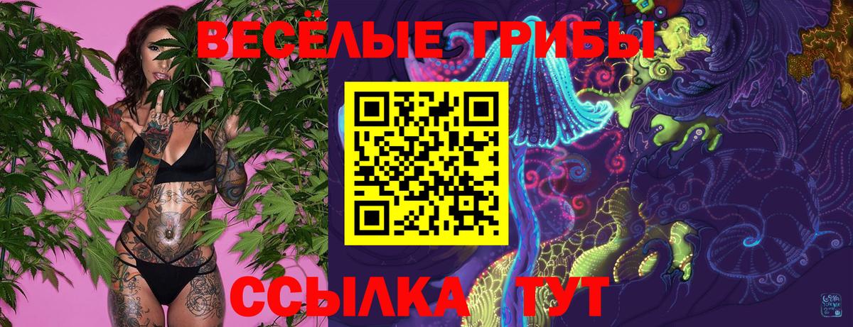 Галлюциногенные грибы ЛСД Тобольск
