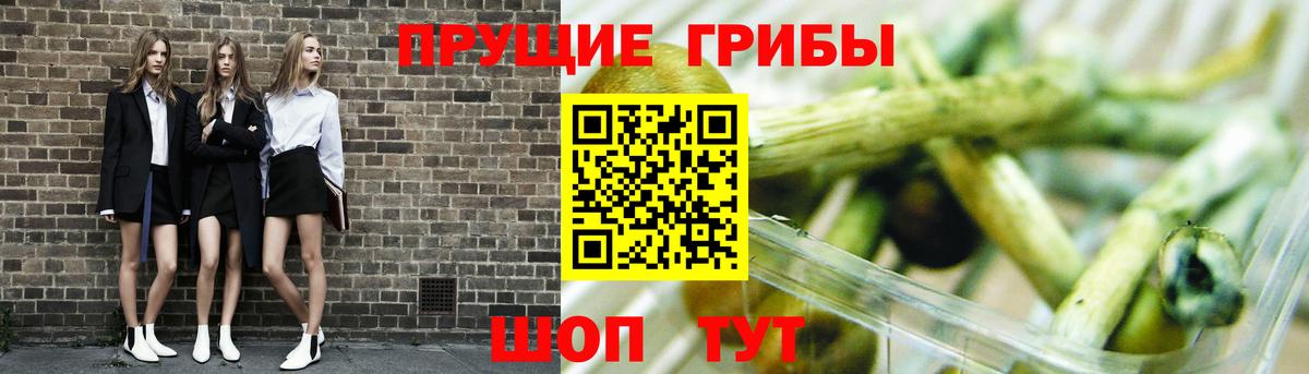 Псилоцибиновые грибы Magic Shrooms  Вход с VPN  Тобольск  Псилоцибиновые грибы Magic Shrooms 